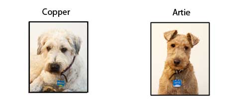 copperartie